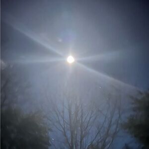 Meet your Posher, Helene